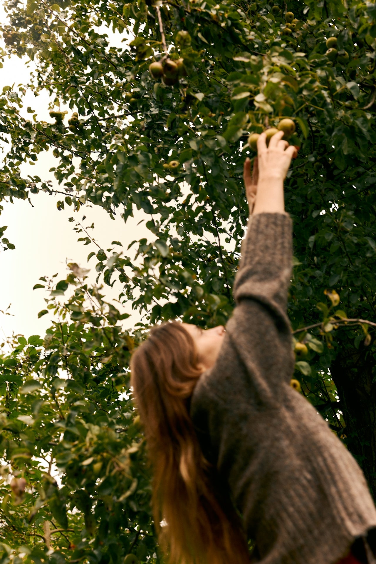 Formulate for the Full Picture