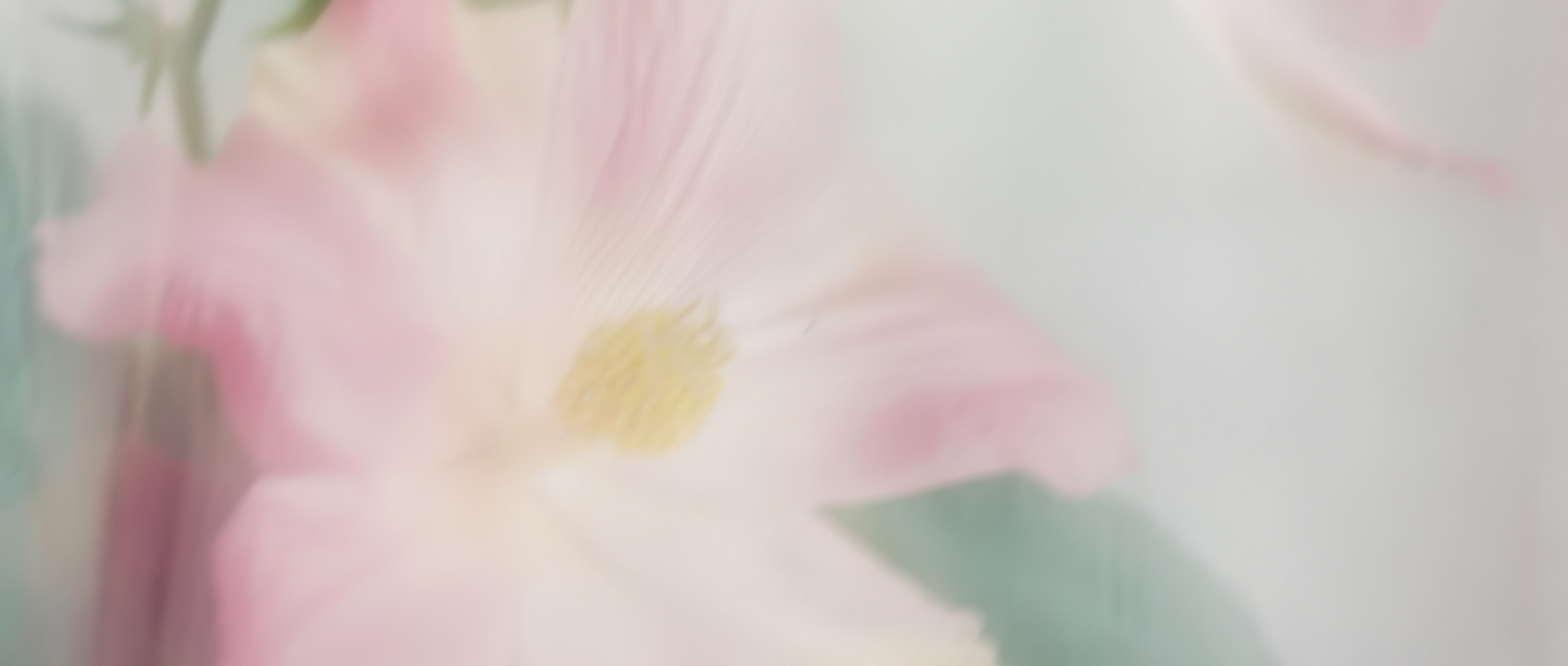 20_2x_7be792da-d397-4e52-a3be-0475968e7655.png
