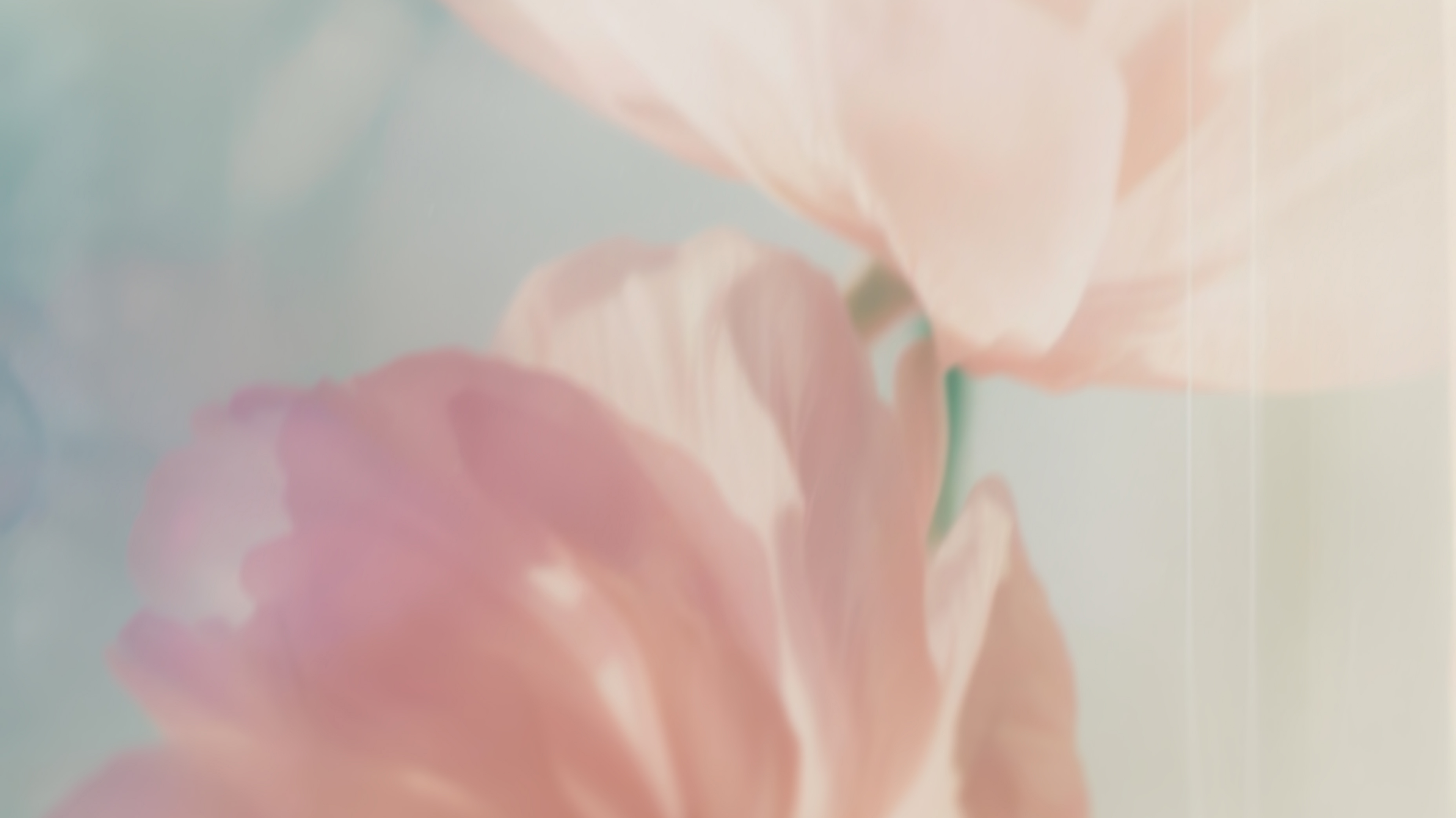 9_2x_4f644a43-134b-48a4-b04f-e200a612e88b.png