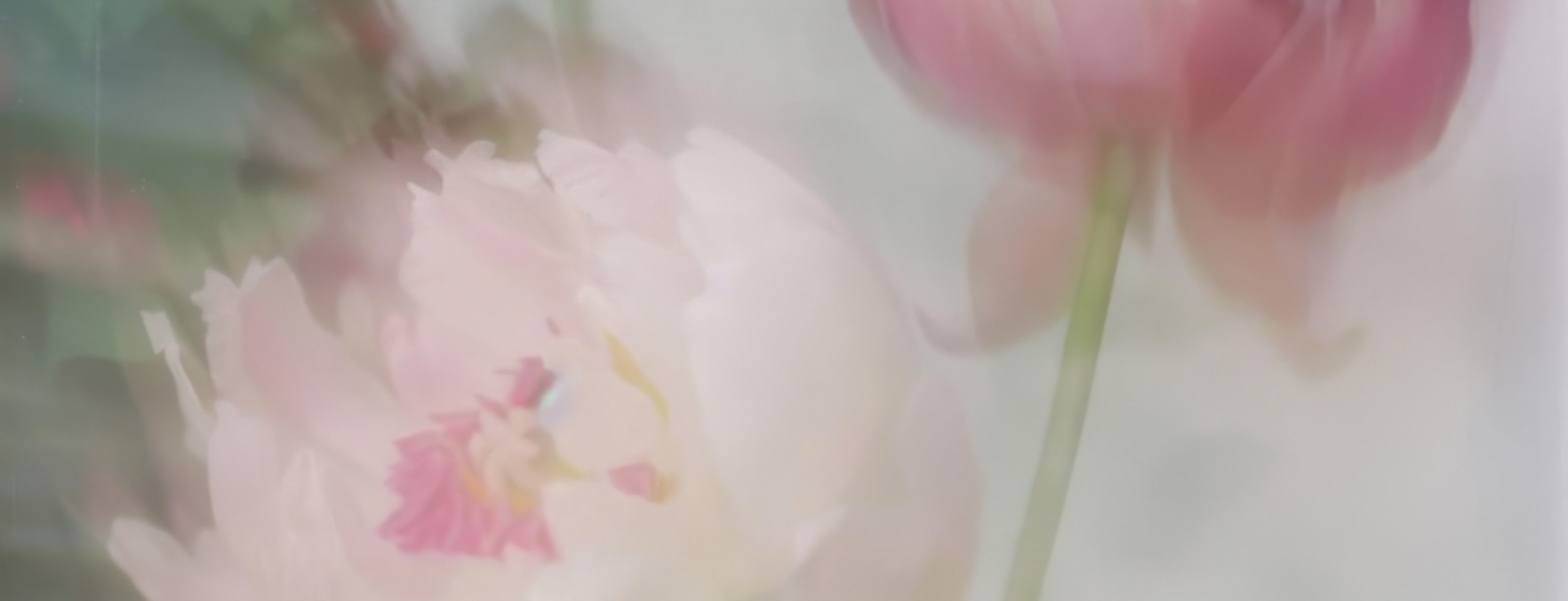 MR-About-Banner.png